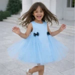 Bluebell Wings Party Dress